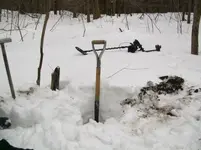 2011 FIRST HUNT OF THE YEAR 002 [].webp