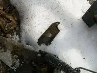 2011 FIRST HUNT OF THE YEAR 003 [].webp