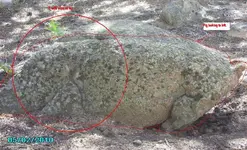 Copy of Other side of bear 2010 271.webp