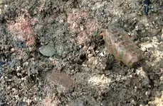 Pretty-Red-Clay-and-coin.webp Pretty-Red-Clay-and-coin.webp