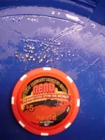 cruisin for gold.webp
