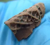 Pretty-Red-Clay-5.webp Pretty-Red-Clay-5.webp
