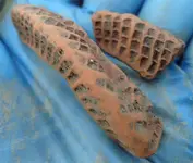 Pretty-Red-Clay-3.webp Pretty-Red-Clay-3.webp