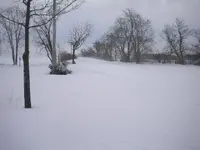 My road somewhere between the trees 6ft under.webp