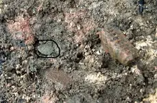 Pretty-Red-Clay-and-coin.webp