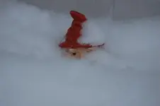 snow 2011 019.webp