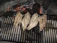 012.webp