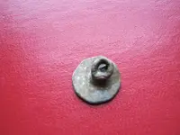silver button 002.webp