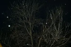 DSC01603.webp