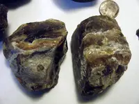 DSCF1006.webp