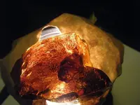 DSCF1015.webp