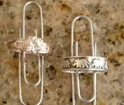 Cabrillo_Park_Rings_020211.webp