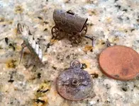 Cabrillo_Park_Trinkets2_020211.webp