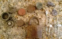 Cabrillo_Park_TotalFinds_020211.webp