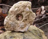 DSCF1595.webp