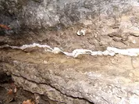 DSCF1597.webp