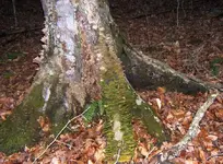 DSCF1599.webp