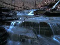DSCF1601.webp