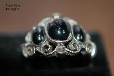 A Salty Three ring day 003.webp