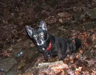 DSCF1608.webp