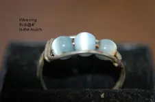 A Salty Three ring day 004.webp