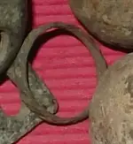 Ring.webp