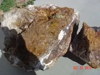 DSC00045.webp
