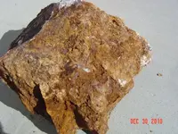 DSC00047.webp