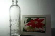 100_5652.webp