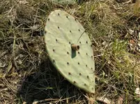 Prickly Pear.webp