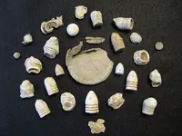 Relics 2-26-11 006.webp
