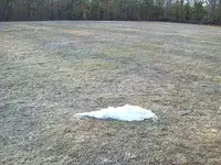 snow 003.webp