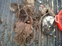 2_03_11 Todays Junk 03.webp