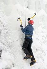 _IGP5907.webp