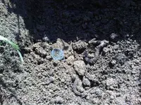 9-2-2011low res.webp