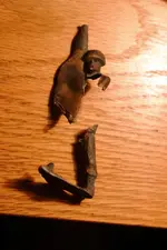 nc finds 02-27 003.webp