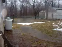 Picture 007.webp