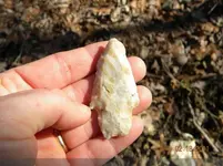 2-18-11 3_jpg-thumb.webp