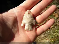 2-18-11 7_jpg-thumb.webp