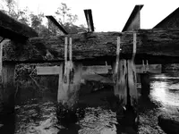 canoe ride, everglades city 003.webp