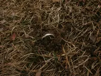 P1151016.webp
