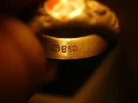 P1151036.webp