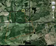 google_property[1].webp