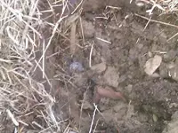 IMAG0092.webp