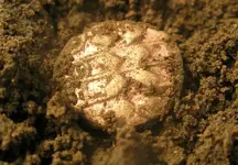 celtic gold 001.webp