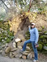 fallen rock.webp