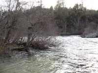 panning spot.webp