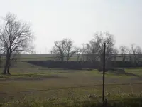 cut in ground.webp