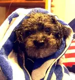 maxbath.webp