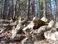 Wild Country Hike 008.webp